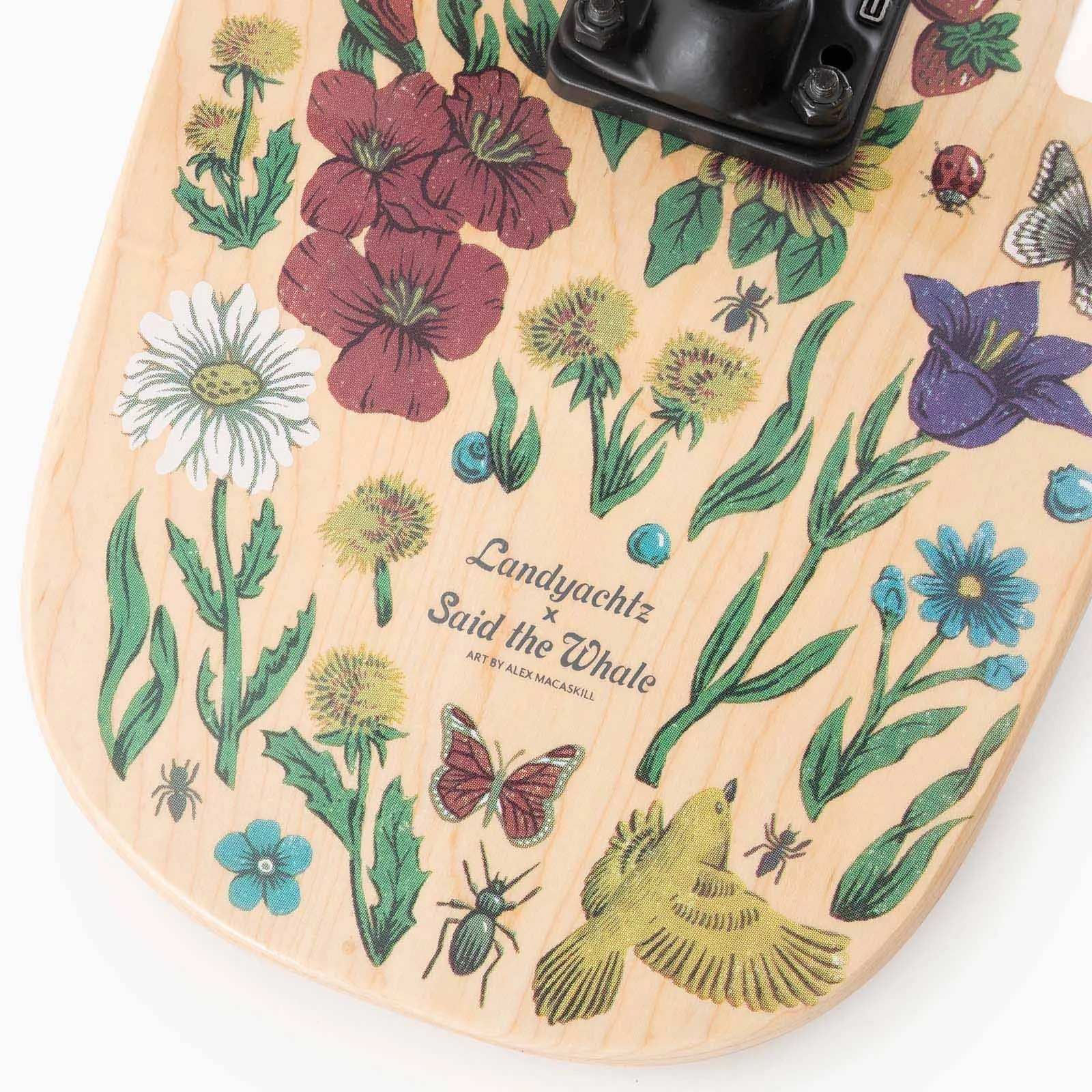 Limitations and Opportunities