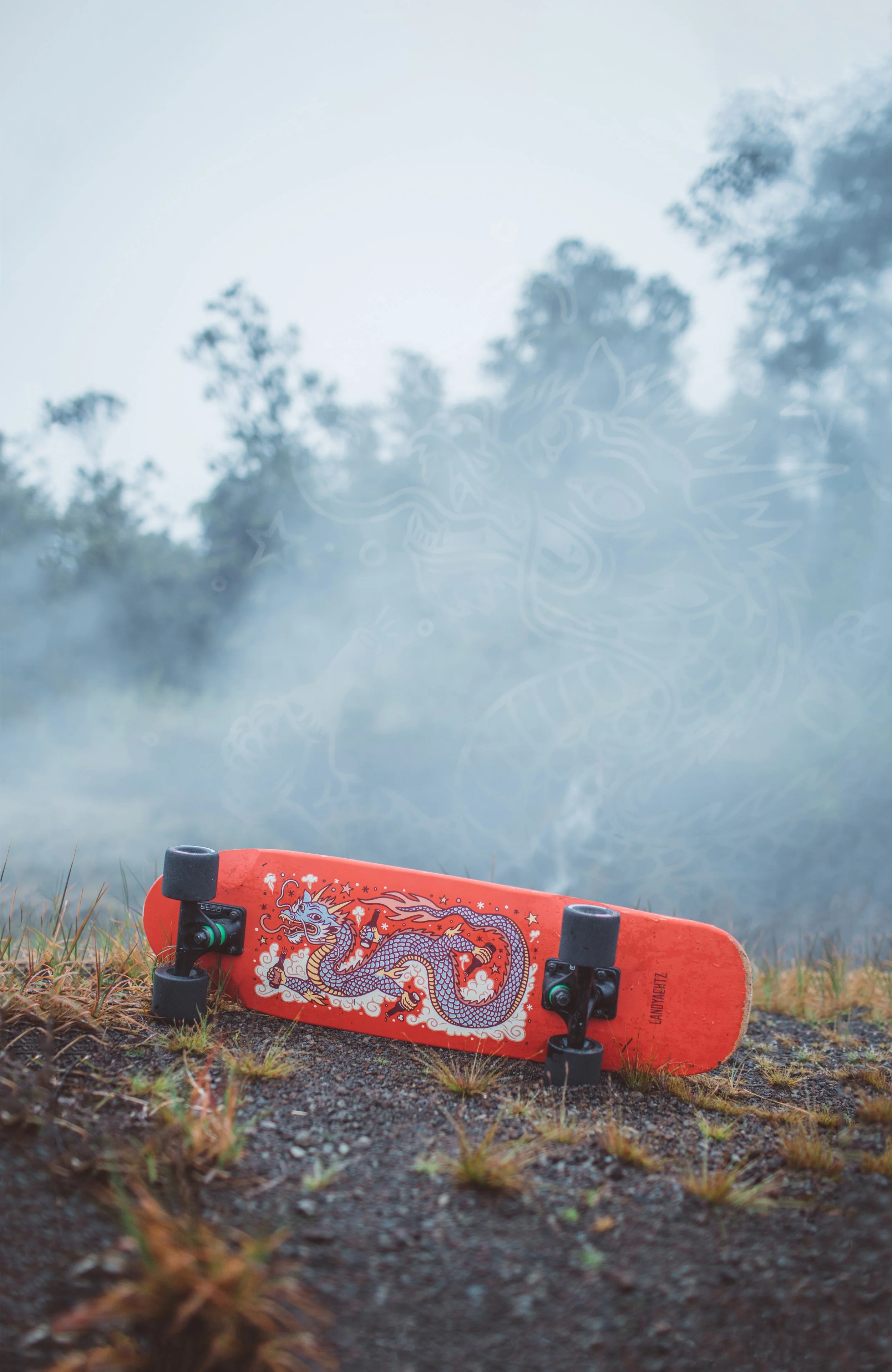 Landyachtz Skateboard Graphics